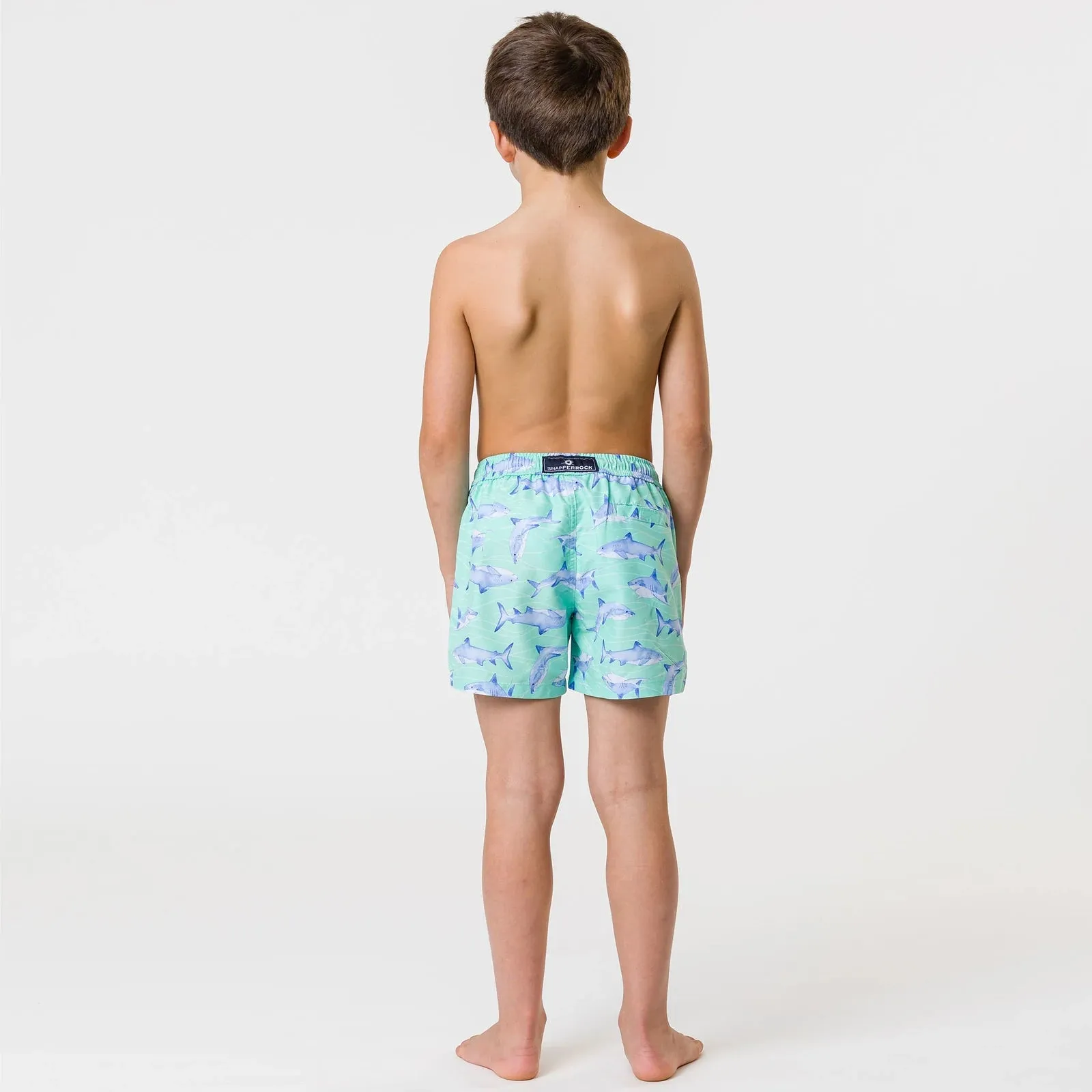 Minty Shark Volley Board Shorts
